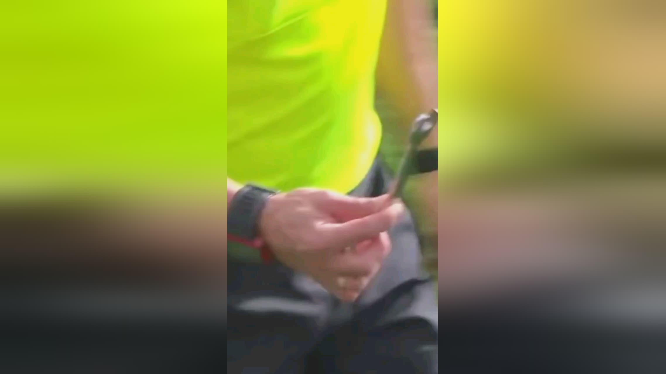 个典型的案