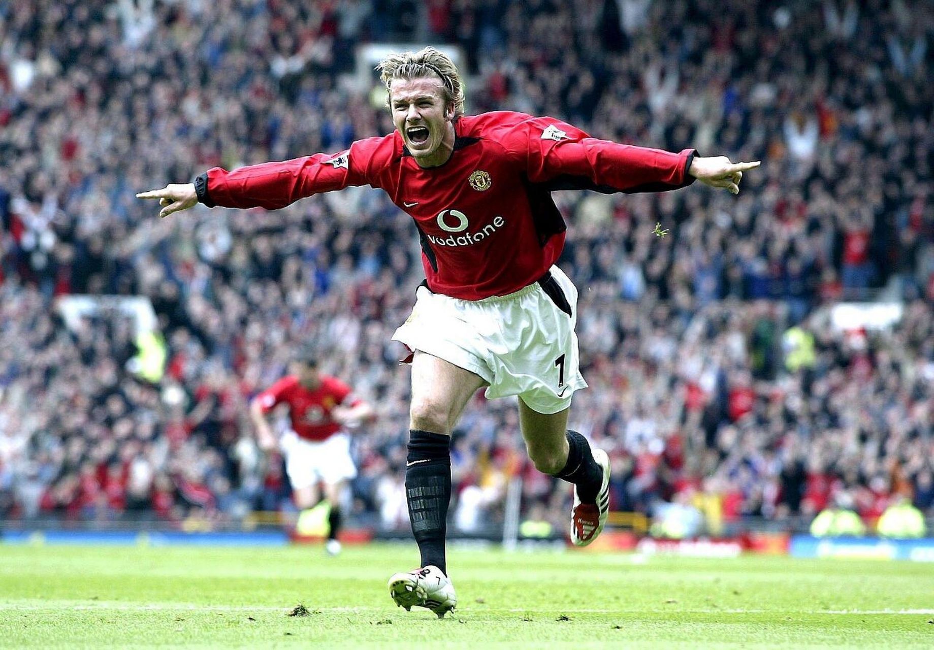 的职业生涯 的职业生涯